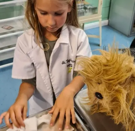 Iskola-előkészítő program